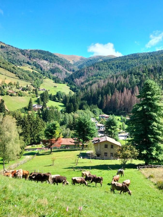 Casa Vacanza Pieve Пизоние Екстериор снимка